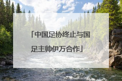 中国足协终止与国足主帅伊万合作
